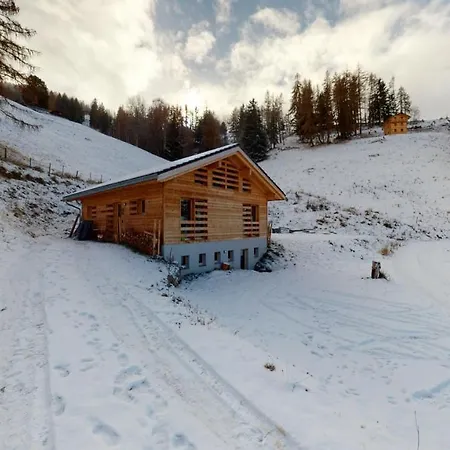 Modern Surrounded By Nature In