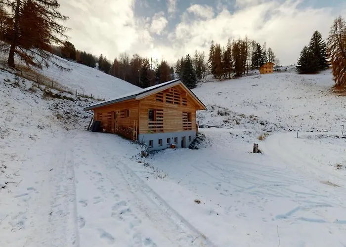 Modern Surrounded By Nature In